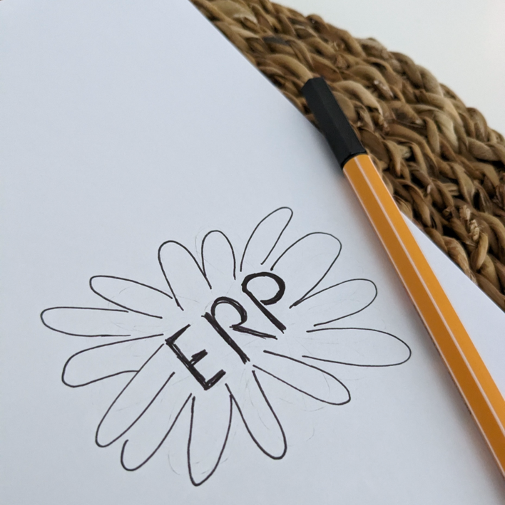 Business-Software: Auswahl und Einführung